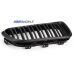 BMW 1 (F20-F21) performance grotelės